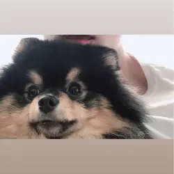 SkylarC