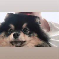 SkylarC