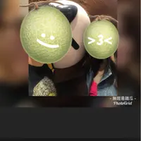 無咁易餓瓜