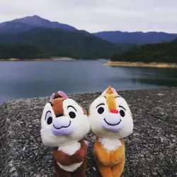 松鼠太太