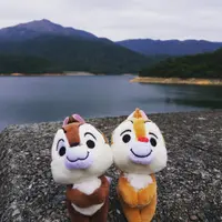 松鼠太太