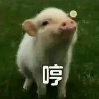 YungChingMan