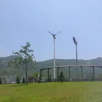旺角大笨象