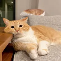 牛肉三小辣