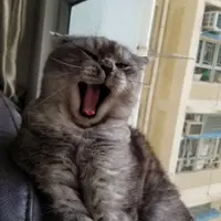 維園呀叔