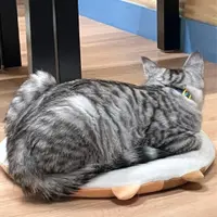 roiiiii