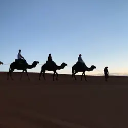 很肚餓