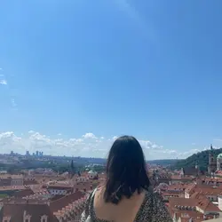 Yo hi
