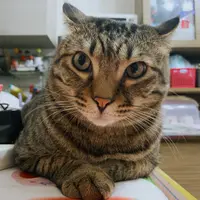 katechan0223