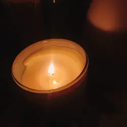 吃貨小豬