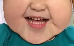 vinvinlai