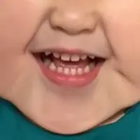 vinvinlai