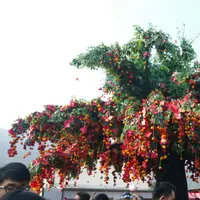 benbenben 221