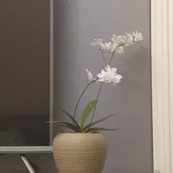 靈活的酸奶65號