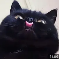 周圍吃的男人