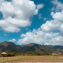 姐的嘴巴就是王道