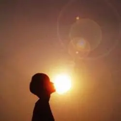 Sunshiner