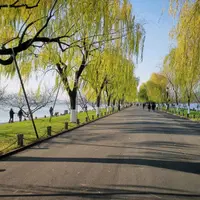 chole111111