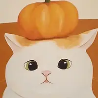 想少脂嘅小資少年