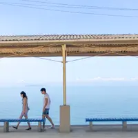 食得實食