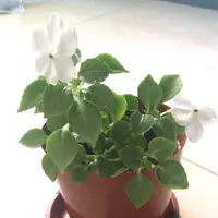 煮得出色食得超值