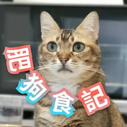 肥狗食記