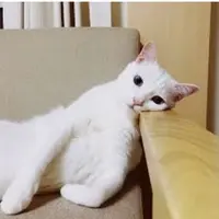 poohpooh58