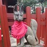 wuyeyali