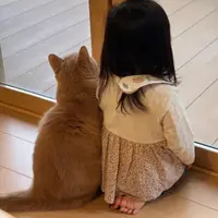 jdpi