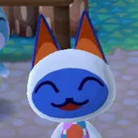 foodie_cat