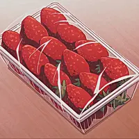 fionxd01