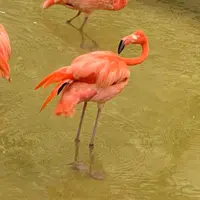 Amberisafoodie