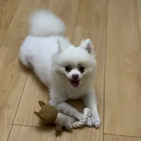 yeungngaching