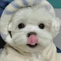 sjjdhdurhd