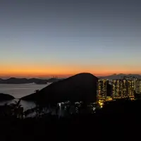 pdliu2019