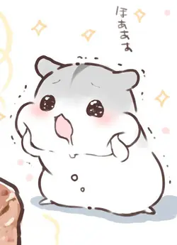 跟住小編食好西