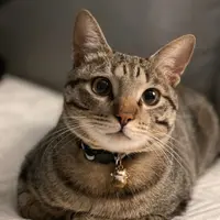 nanaeatnshare