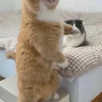 ohmytummyissobig