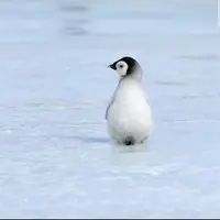 xHailyz
