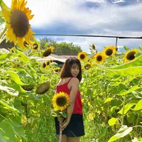 Rachel乜都食__