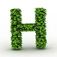 HH生先