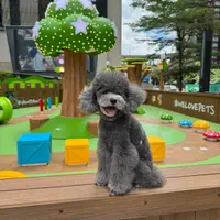 lala_leung_