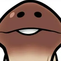 mushroommomo