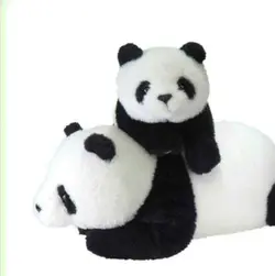 Panda_Lovers