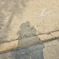 蕃茄122