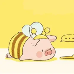小小334
