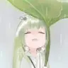 秋羽瓜