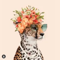 littleleopard