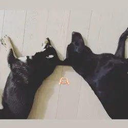 99couple