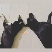 99couple